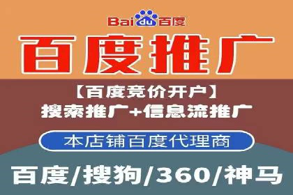 大数据分析在竞价广告中的应用